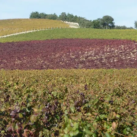 Domaine St George *