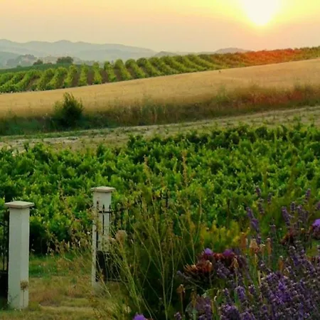Domaine St George Limoux